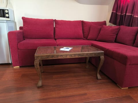 Апартамент-студио Б4-4-1 Божурленд Apartment in Bansko