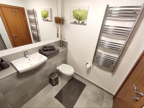 Shower, Toilet, Bathroom, hair dryier, towels