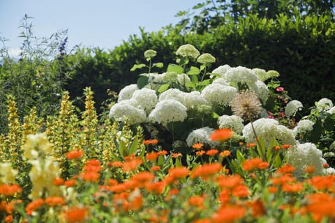 Humblhof Apartment in Algund