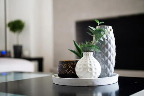 Faliro Riviera Seaview flat Apartment in South Athens