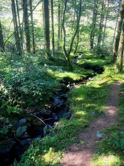 Your Snowdonia Escape! House in Wales