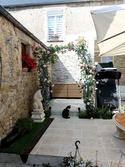 Patio, Day, Garden view