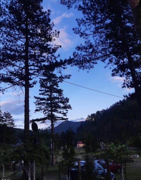 Pine Oasis House in Federation of Bosnia and Herzegovina