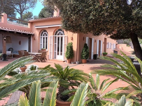 Garden, Garden view