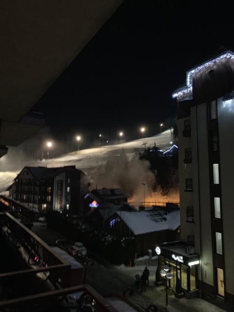 Night, Winter