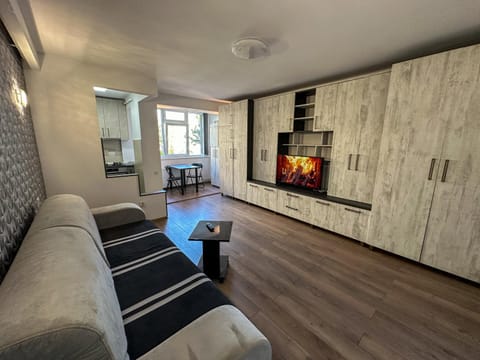 TV and multimedia, Kitchen or kitchenette, Living room, Seating area, Evening entertainment