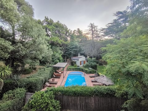 Garden, Swimming pool