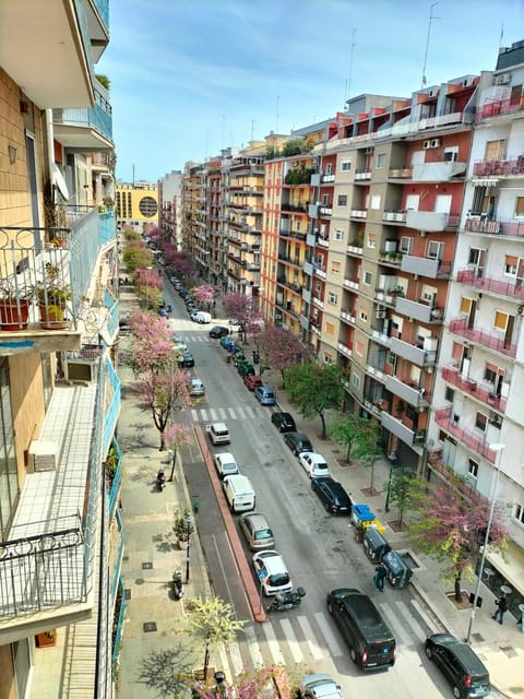 Day, Neighbourhood, Bird's eye view, City view, Street view, Parking