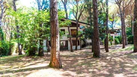 Property building, Natural landscape, Garden, Garden view
