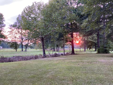 Garden, Sunset