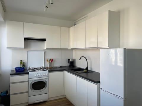 Kitchen or kitchenette, dishwasher, stove