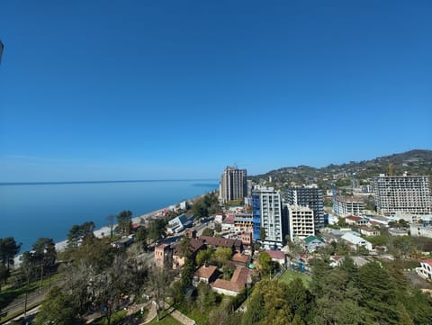 Bird's eye view, City view, Sea view