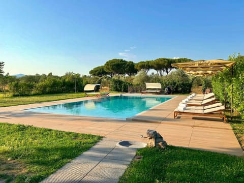 Spring, Day, Natural landscape, Garden, Pets, Garden view, Pool view, Swimming pool, sunbed