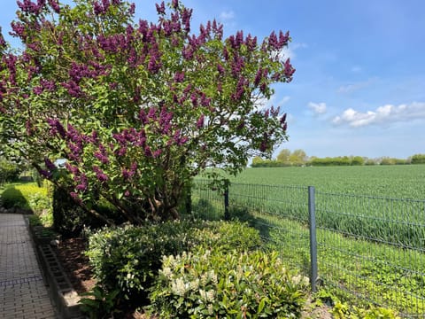 Villa Kronsteert Apartment in Dahme