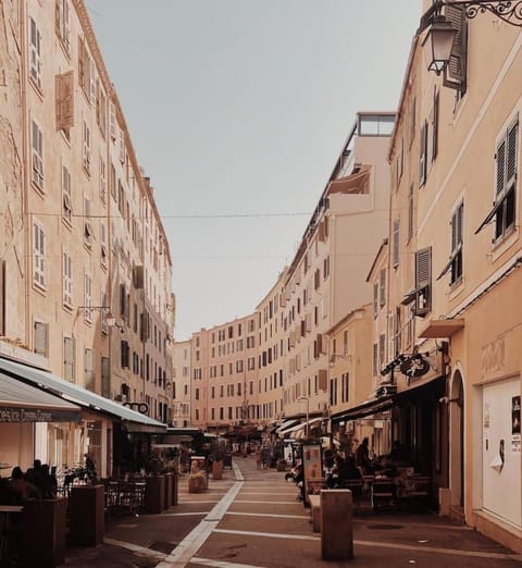 Studio 2 Personnes Plein Centre Rue Piétonne Apartment in Ajaccio