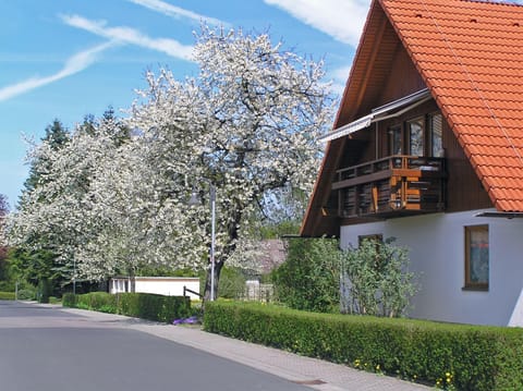 Property building, Spring