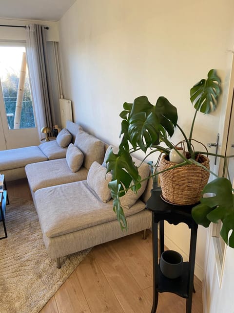 Le tournesol Apartment in Lille