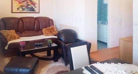 Apartman Pazova Apartment in Serbia