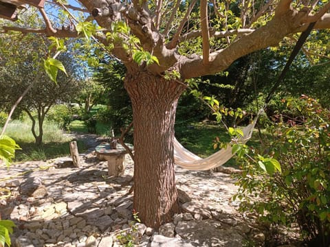 Spring, Day, Natural landscape, Garden, Garden view