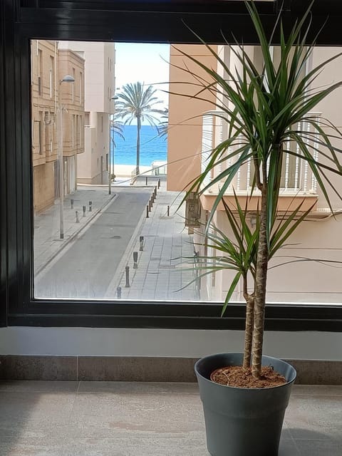 Sea view, Sea view