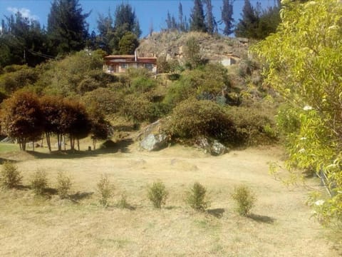 Property building, Garden, Mountain view