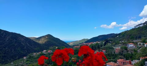 Spring, Day, Natural landscape, Mountain view, Sea view