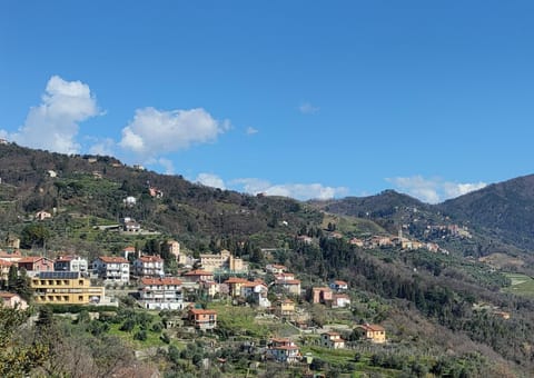 Nearby landmark, Day, Natural landscape, City view, Mountain view