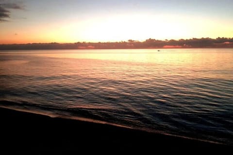 Natural landscape, Beach, Sunset