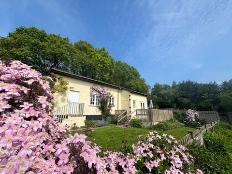 Property building, Spring, Day, Garden, Garden view