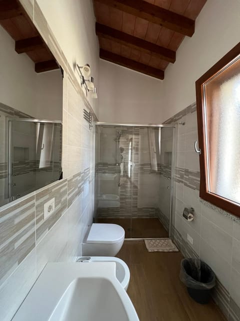 Shower, Toilet, Bathroom, bidet