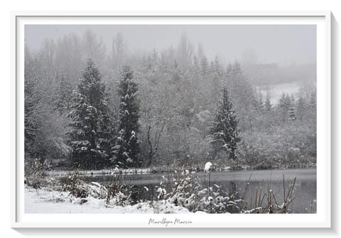 Superbe appartement au coeur du Jura Apartment in Jura