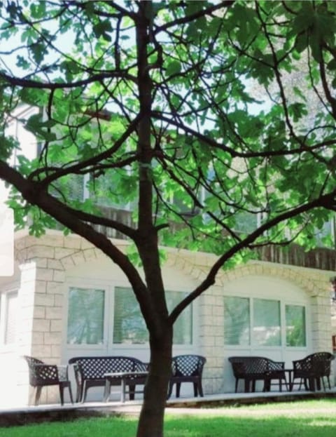 Property building, Patio, Spring, Garden, Garden view, Inner courtyard view