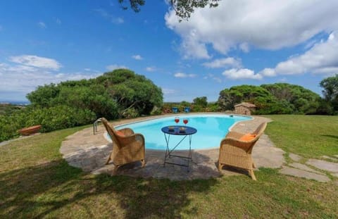 Day, Garden, Garden view, Pool view