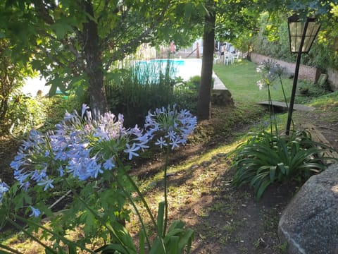 Garden, Garden view