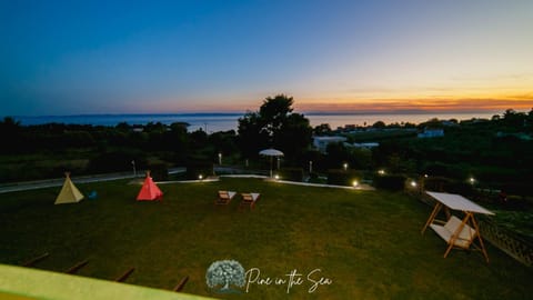 Garden, Garden view, Sea view, Sunset
