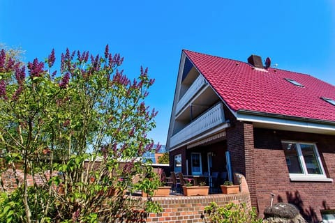 Property building, Day, Garden view
