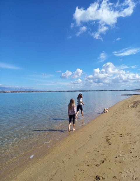 Natural landscape, Beach