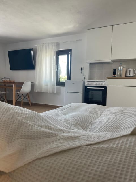 TV and multimedia, Kitchen or kitchenette, minibar, oven, pet friendly