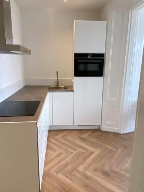 Kitchen or kitchenette, dishwasher, stove