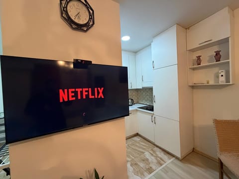 Cozy Apartment Apartment in Serbia