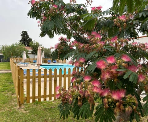 Garden, Swimming pool, sunbed