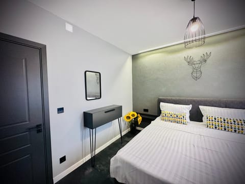 Central Place to Stay Apartment in Timiș County