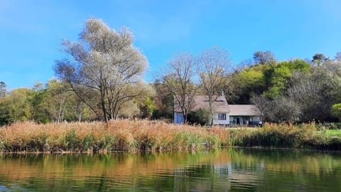 Property building, Lake view