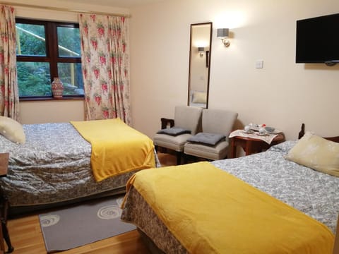Ben View Guesthouse Bed and Breakfast in Clifden
