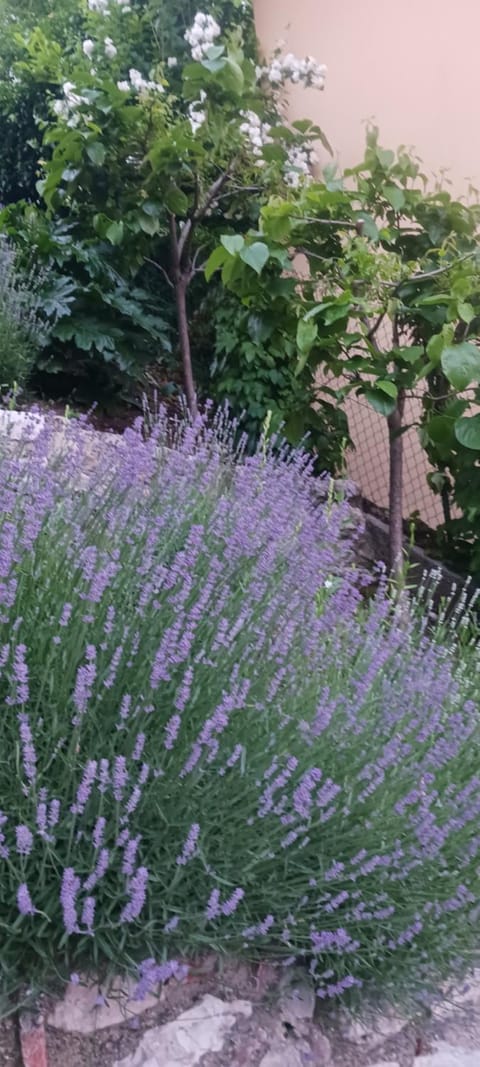 Seeblick und offener Kamin - Casa di Florian Villa in Tremosine