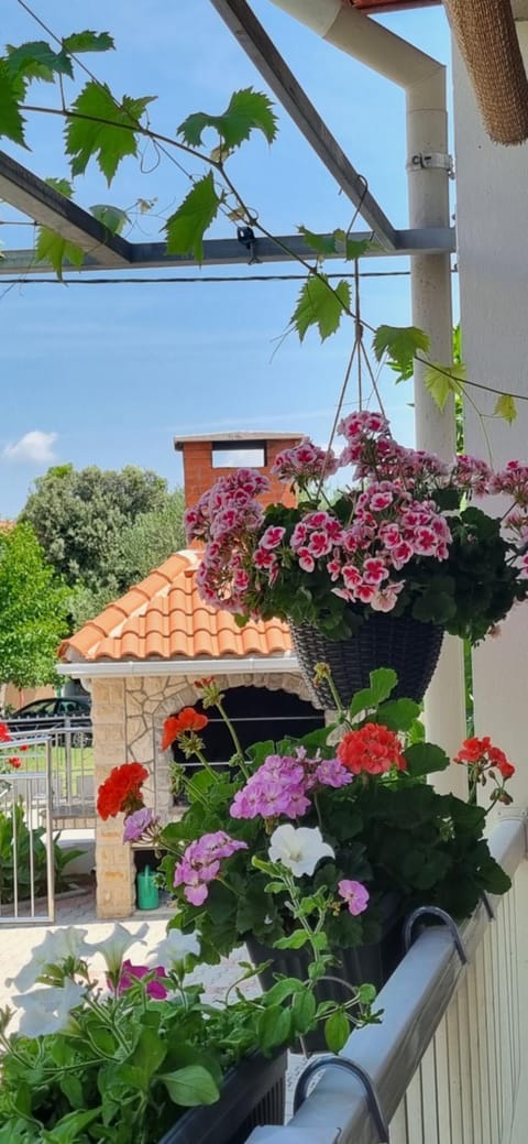 Apartments Strkalj Bibinje Bed and Breakfast in Šibenik-Knin County, Croatia