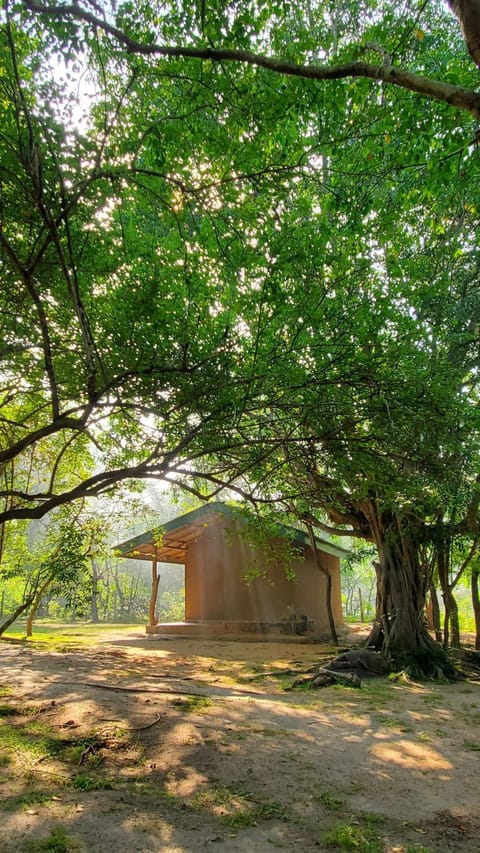 Property building, Spring, Day, Natural landscape, Garden