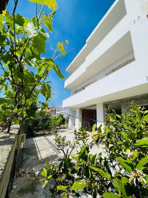 Property building, Garden, Garden view