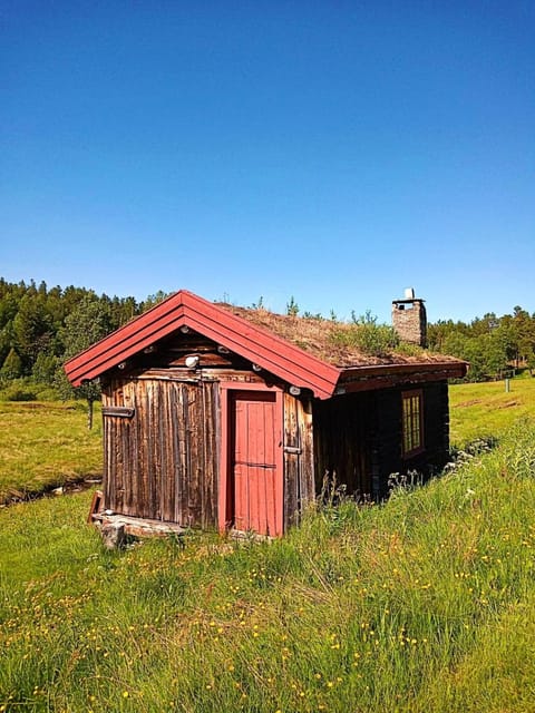 Property view