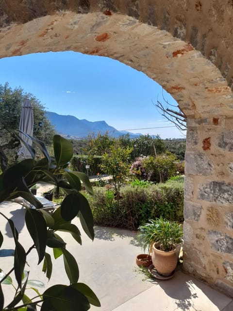Garden, Garden view, Mountain view
